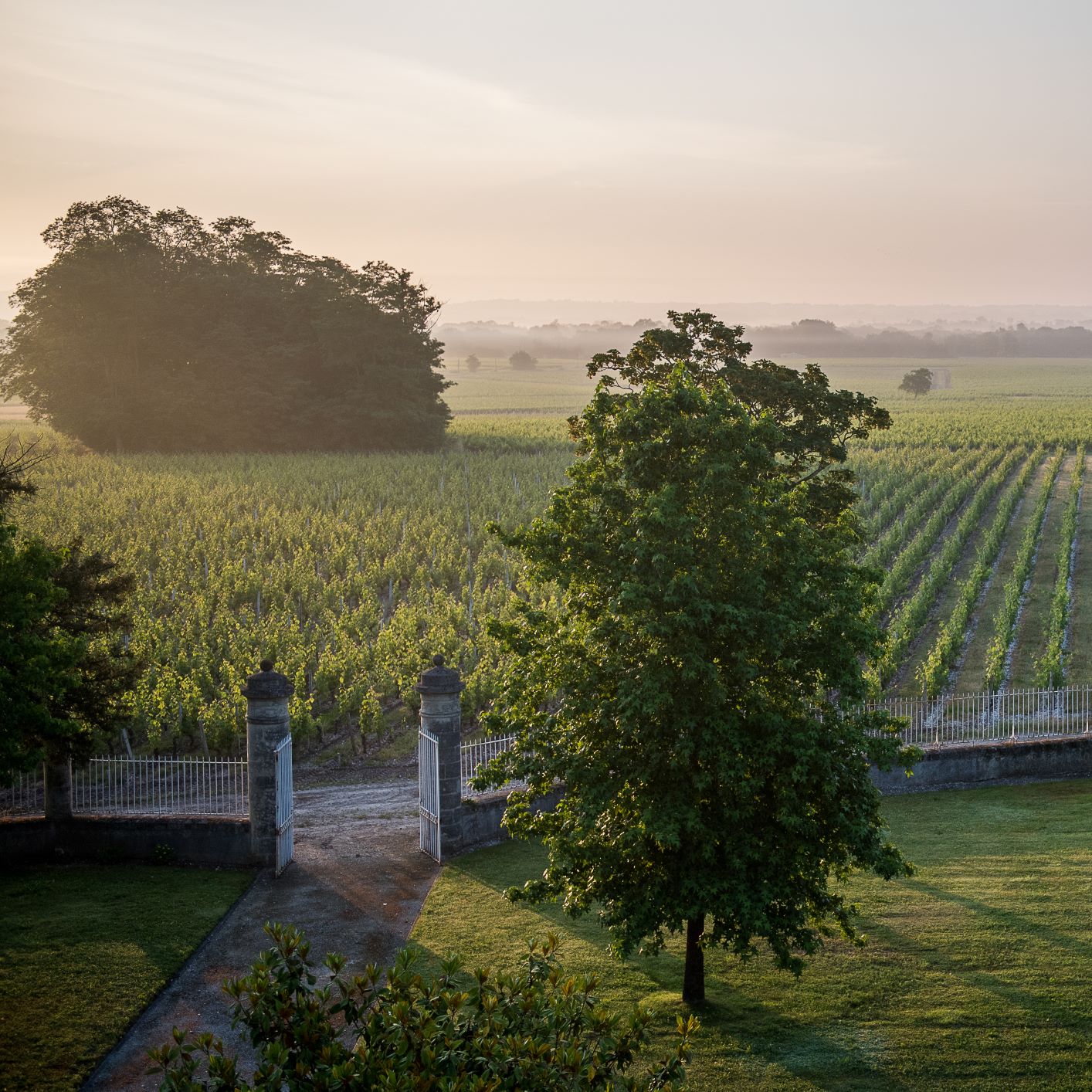 Chateau Malescasse, domaine viticole de renommée d'appellation Haut-Médoc